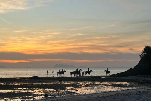 Phuket: Passeio a cavalo pela praia ao pôr do sol
