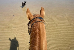 Phuket: Passeio a cavalo pela praia ao pôr do sol