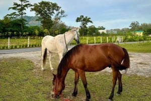 Phuket: Passeio a cavalo pela praia ao pôr do sol