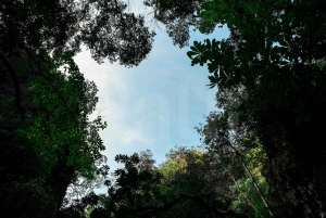 Phuket: Phang Nga Bay: Auringonlaskun äyriäisruokaristeily Phang Nga Bayssä