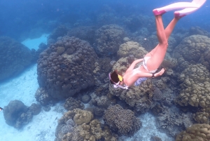 Phuket: Surin Island med motorbåt