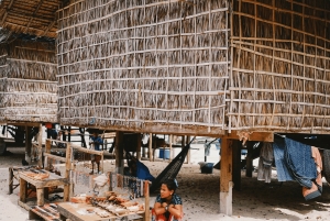 Phuket: Surin Island med motorbåt