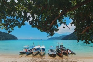 Phuket: Surin Islands Day Tour by Speedboat