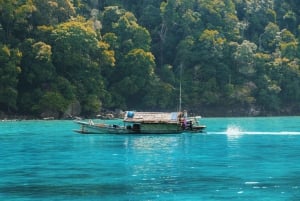 Phuket: Surin Islands Day Tour by Speedboat