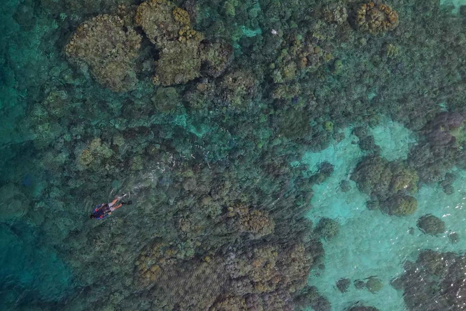 Phuket: Surin-øyene og Moken-landsbyen med premium katamaran