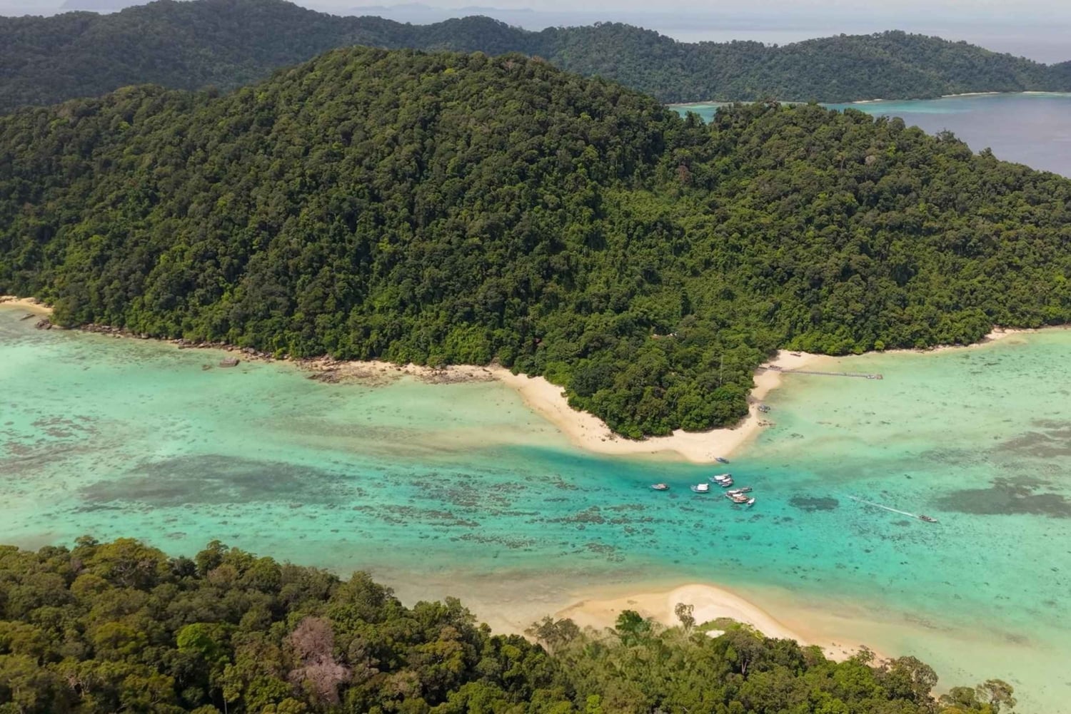 Phuket: Surinöarna och Moken Village med premium katamaran