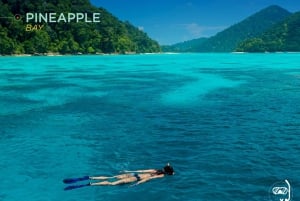 Phuket: Surin-øyene og Moken-landsbyen med premium katamaran