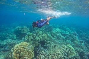 Phuket: Surin-øyene og Moken-landsbyen med premium katamaran