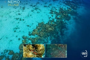 Phuket: Surin-øyene og Moken-landsbyen med premium katamaran