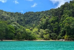 Phuket: Surin-saaret ja Moken-kylän premium-snorklausretki