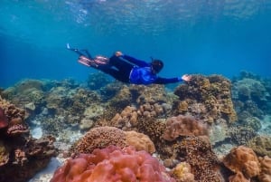 Phuket: Surin-saaret ja Moken-kylän premium-snorklausretki