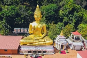 Phuket Temple Trail (Private & All-Inclusive)