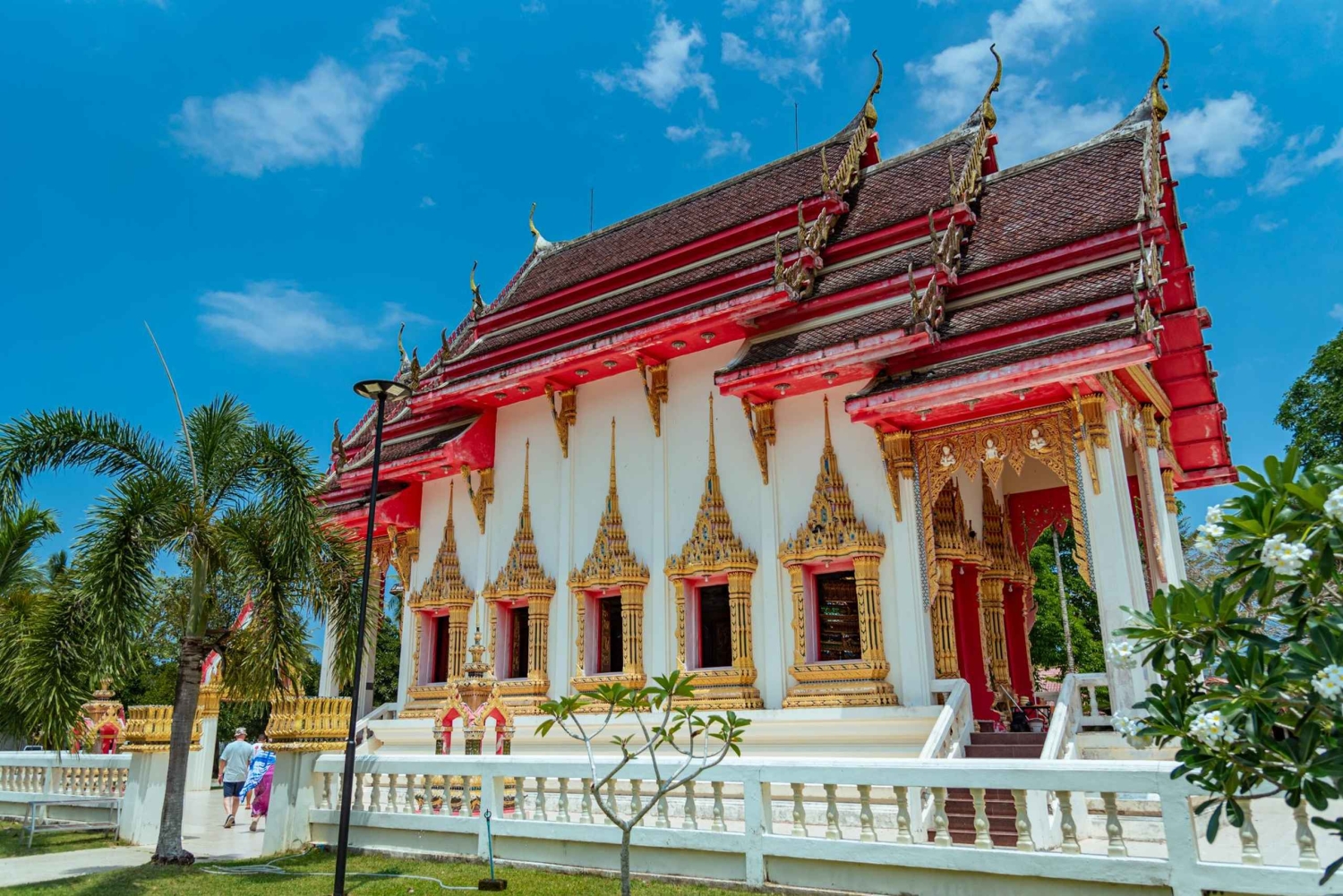 Phuket: temppeli, tsunamin muistomerkki, kilpikonnakeskus ja norsu