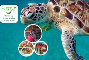 Phuket: temppeli, tsunamin muistomerkki, kilpikonnakeskus ja norsu