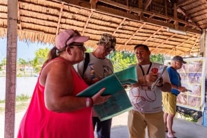 Phuket: temppeli, tsunamin muistomerkki, kilpikonnakeskus ja norsu