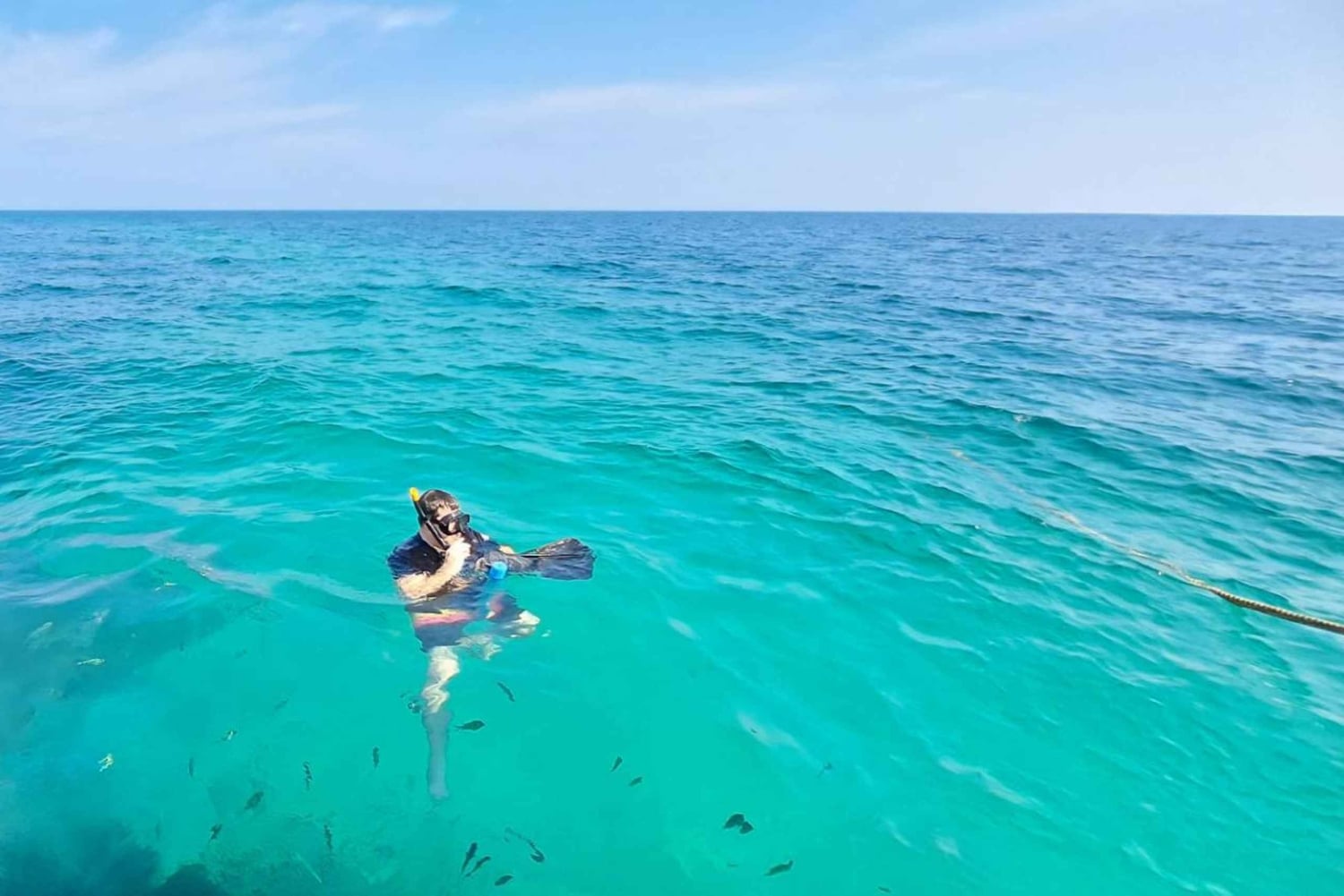 Ganztägiger Luxus-Schnellboot-Charter von Phuket nach Phi Phi