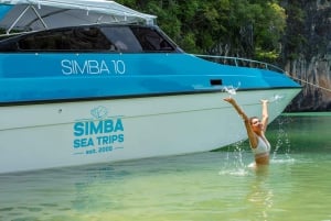 Phuket til Phi Phi heldags luksus speedbåd charter