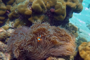 Ganztägiger Luxus-Schnellboot-Charter von Phuket nach Phi Phi