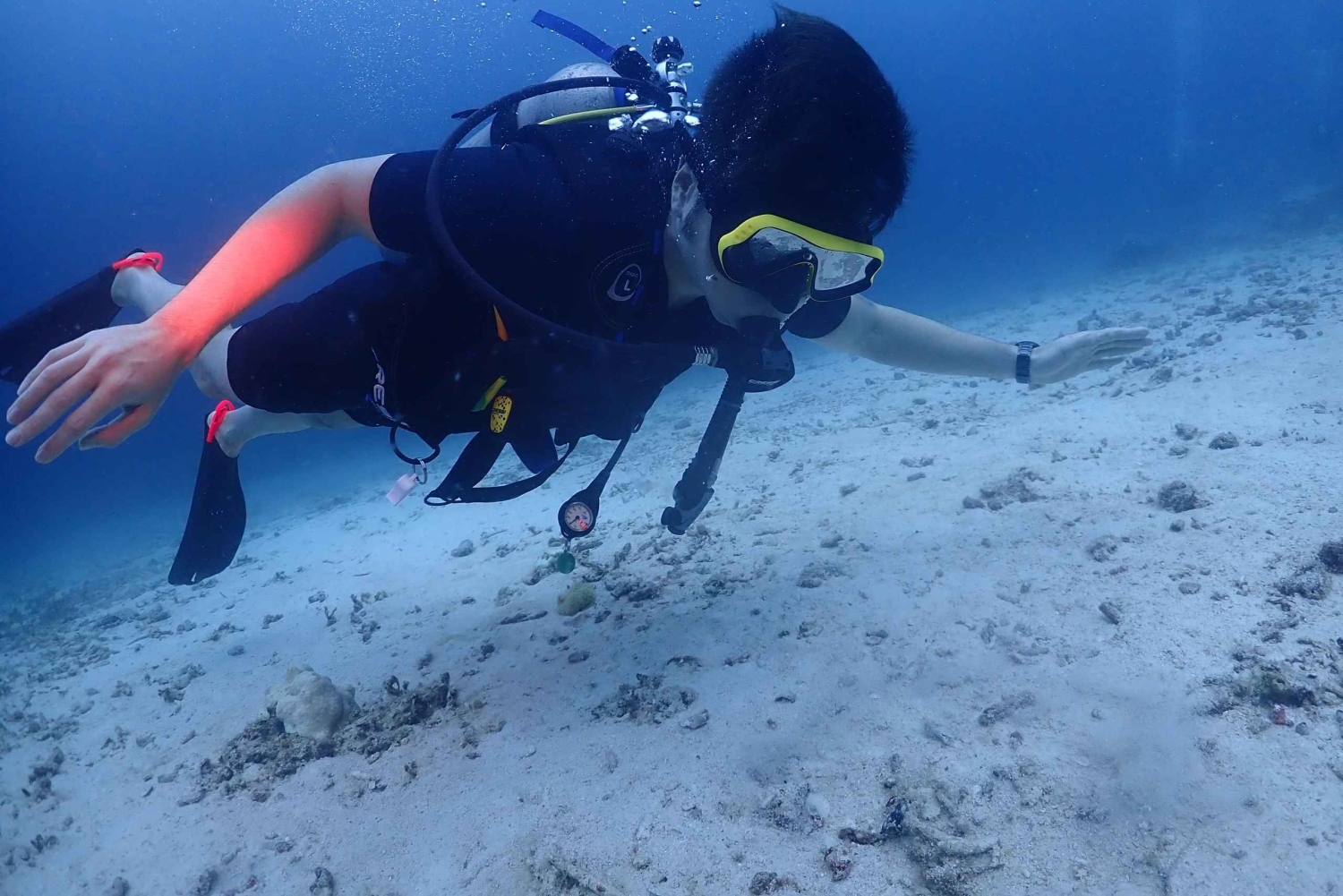 Phuket: Prøv SCUBA DIVING heldagsoplevelse med 2 dyk