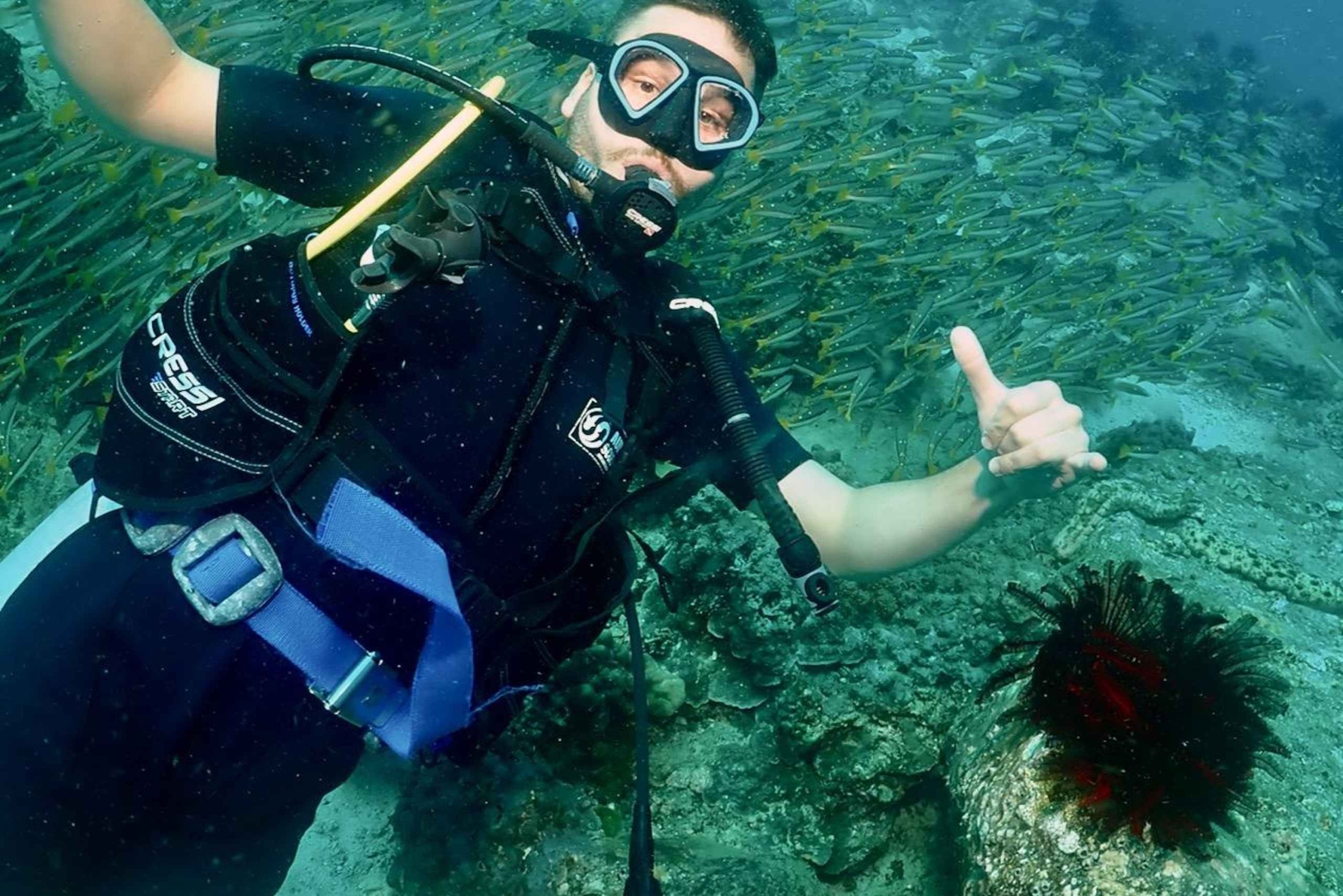 Phuket: Prøv SCUBA DIVING heldagsoplevelse med 2 dyk