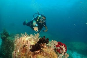 Phuket: SCUBA DIVING Ganztageserlebnis 2 Tauchgänge