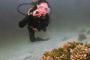 Phuket: SCUBA DIVING Ganztageserlebnis 2 Tauchgänge