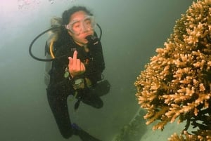 Phuket: SCUBA DIVING Ganztageserlebnis 2 Tauchgänge