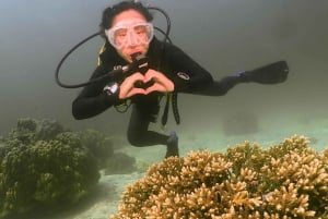 Phuket: Prøv dykking en hel dag med 2 dykk