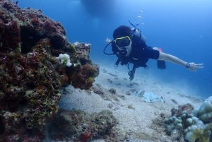 Phuket: Prøv SCUBA DIVING heldagsoplevelse med 2 dyk