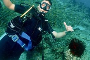 Phuket: Prøv SCUBA DIVING heldagsoplevelse med 2 dyk