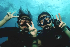 Phuket: Prøv SCUBA DIVING heldagsoplevelse med 2 dyk