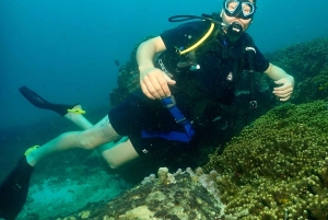 Phuket: Prøv SCUBA DIVING heldagsoplevelse med 2 dyk