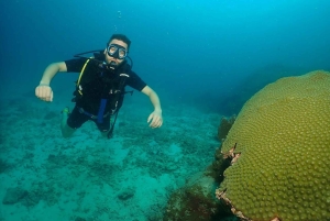 Phuket: Prøv SCUBA DIVING heldagsoplevelse med 2 dyk