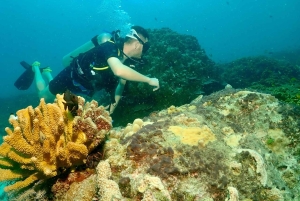 Phuket: Prøv SCUBA DIVING heldagsoplevelse med 2 dyk