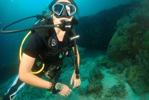 Phuket: Prøv SCUBA DIVING heldagsoplevelse med 2 dyk
