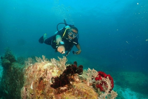 Phuket : Essayez la plongée sous-marine à la journée 3 plongées