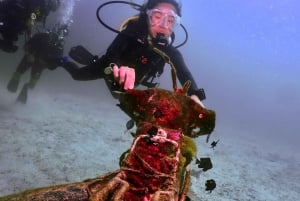 Phuket : Essayez la plongée sous-marine à la journée 3 plongées