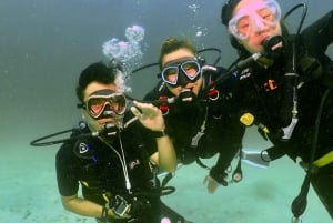 Phuket : Essayez la plongée sous-marine à la journée 3 plongées