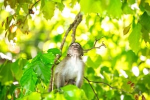 Phuket: Tour in catamarano di ultima generazione a Phi Phi e Maya Bay