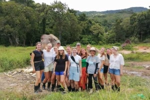 Phuket: Walk and Feed Ethical Elephant Nature Park Tour