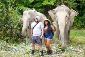 Phuket : Visite à pied et nourrissage au parc naturel des éléphants éthiques