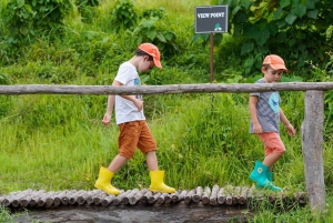 Phuket: Tour a piedi e con alimentazione etica del parco naturale degli elefanti