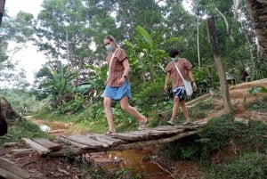 Phuket: Spaziergang und Pflanzen im Elefanten-Naturpark Besuch