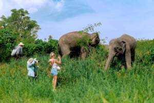 Phuket: Spaziergang und Pflanzen im Elefanten-Naturpark Besuch