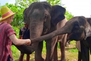 Phuket: Elefanttien eettinen suojelualue: Eko-opas Walk Tour