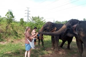 Phuket: Wycieczka z przewodnikiem po etycznym sanktuarium słoni