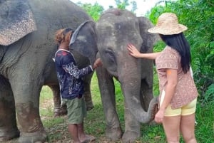 Phuket: Recorrido a pie con guía ecológico por el Santuario Ético de Elefantes