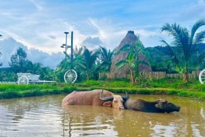 푸켓 화이트 래프팅, 지프라인, ATV 및 미니 사파리