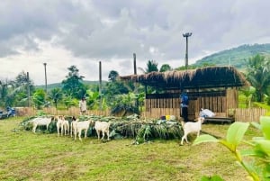 푸켓 화이트 래프팅, 지프라인, ATV 및 미니 사파리