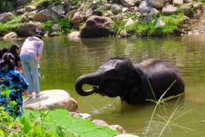 푸켓 화이트 래프팅, 지프라인, ATV 및 미니 사파리